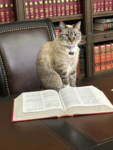Goetz Legal office library photo